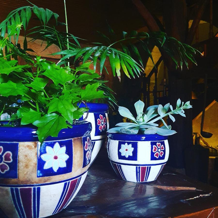 منزل الضيف سيا  في Casa Do Fundo - Sustainable & Ecotourism المظهر الخارجي الصورة